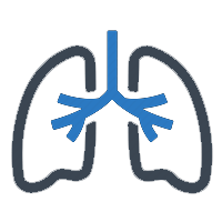 Pulmonary, Critical Care, and Sleep Medicine