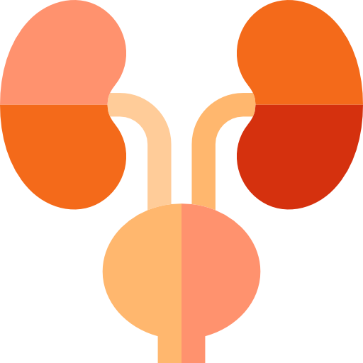 नेफ्रोलोजी तथा मृगौला प्रत्यारोपण चिकित्सा