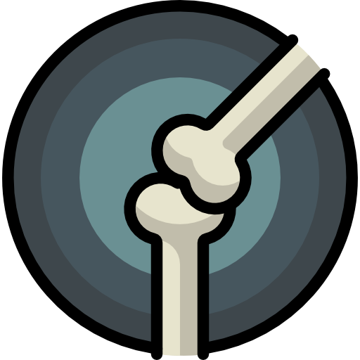 हाड्जोर्नी सेवा